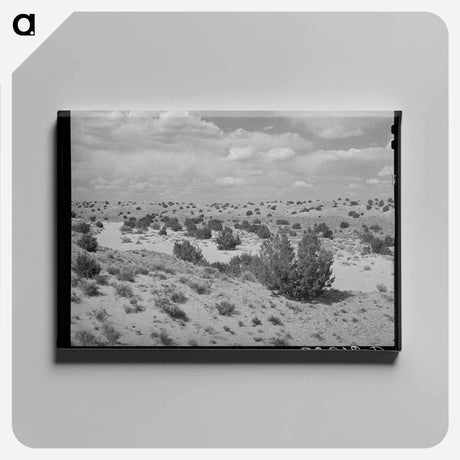 アートパネル-Dry Wash, Sandoval County
 - ラッセル リー Canvas.