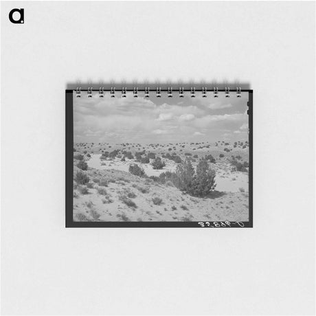 アートメモ帳-Dry Wash, Sandoval County
 - ラッセル リー Memo.