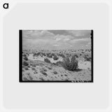 アートポストカード-Dry Wash, Sandoval County
 - ラッセル リー Postcard.