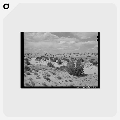 アートポストカード-Dry Wash, Sandoval County
 - ラッセル リー Postcard.