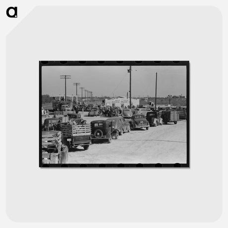 アートポストカード-Stockyard Lineup
 - ラッセル リー Postcard.