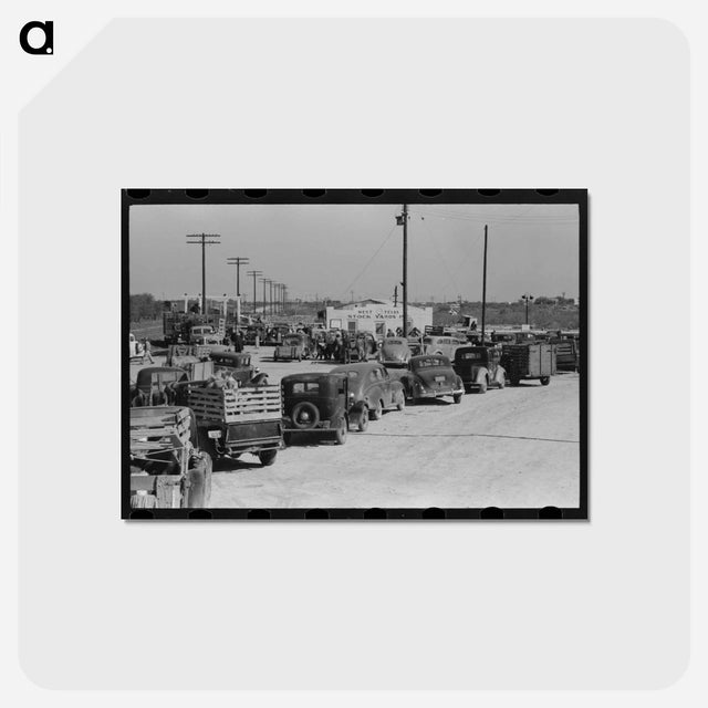 アートポストカード-Stockyard Lineup
 - ラッセル リー Postcard.