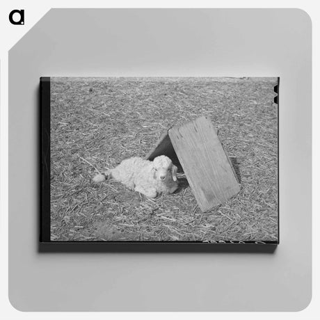 アートパネル-Kimble County Shelter
 - ラッセル リー Canvas.