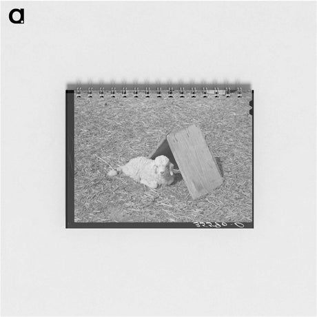 アートメモ帳-Kimble County Shelter
 - ラッセル リー Memo.
