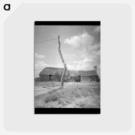 アートポストカード-Rio Grande Valley Dwelling
 - ラッセル リー Postcard.