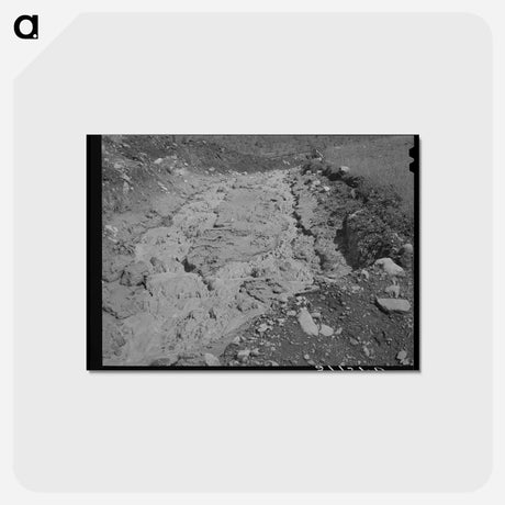 アートポストカード-Gold Mill Tailings
 - ラッセル リー Postcard.