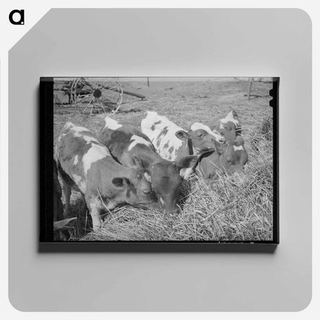 アートパネル-Mr. White's Calves
 - ラッセル リー Canvas.