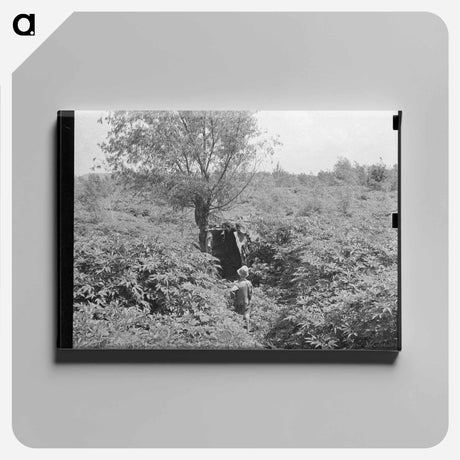アートパネル-Arkansas Outhouse
 - ラッセル リー Canvas.