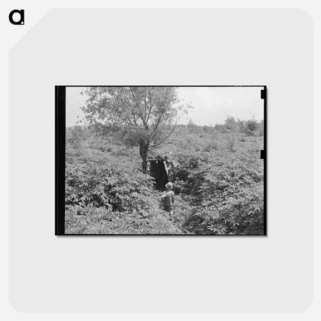 アートポストカード-Arkansas Outhouse
 - ラッセル リー Postcard.