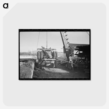 アートポストカード-Tillamook Logging
 - ラッセル リー Postcard.