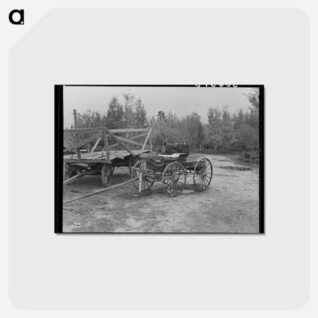 アートポストカード-Democrat Wagon on Cut-Over Farm
 - ラッセル リー Postcard.