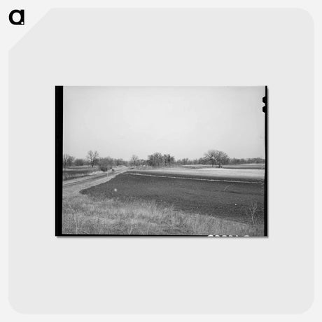 アートポストカード-Eroded Farmland, Oklahoma
 - ラッセル リー Postcard.