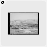 アートポストカード-Wheat Field, Walla Walla County
 - ラッセル リー Postcard.