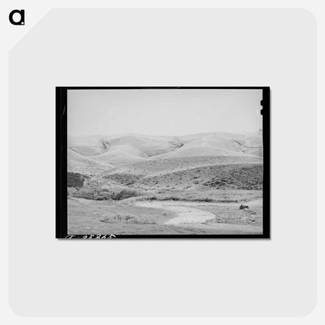 アートポストカード-Wheat Field, Walla Walla County
 - ラッセル リー Postcard.