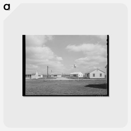 アートポストカード-Migratory Labor Camp Houses
 - ラッセル リー Postcard.