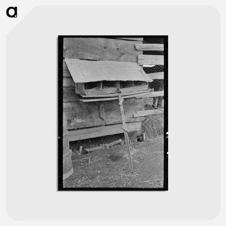 アートポストカード-Hen Nests at Sharecropper's Cabin
 - ラッセル リー Postcard.