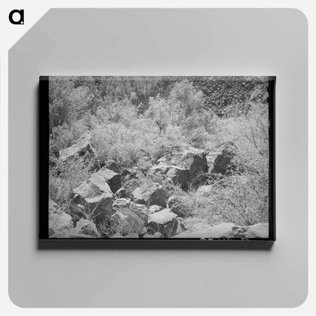アートパネル-Carrizo Creek Gorge
 - ラッセル リー Canvas.
