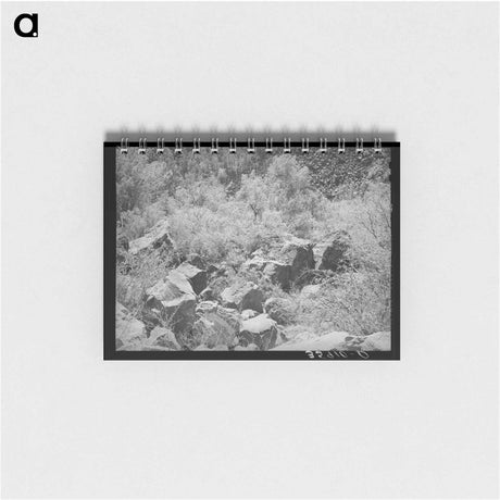アートメモ帳-Carrizo Creek Gorge
 - ラッセル リー Memo.