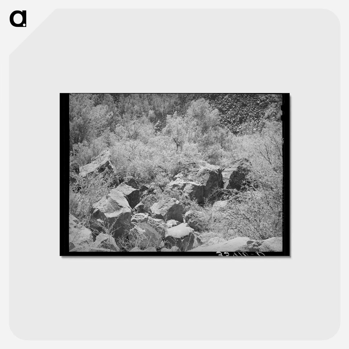 アートポストカード-Carrizo Creek Gorge
 - ラッセル リー Postcard.