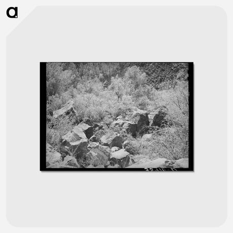 アートポストカード-Carrizo Creek Gorge
 - ラッセル リー Postcard.
