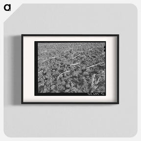 アートポスター-Plowed Cornfield, McLennan County
 - ラッセル リー Poster.