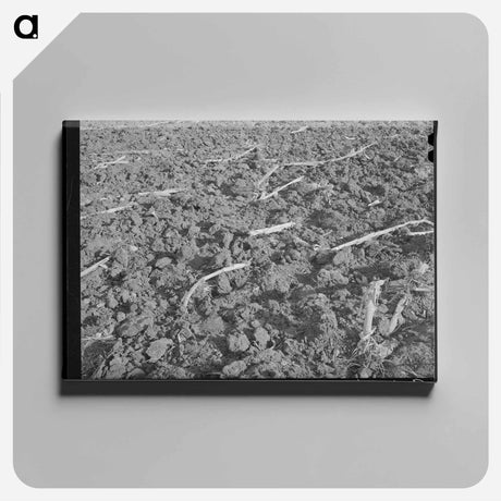 アートパネル-Plowed Cornfield, McLennan County
 - ラッセル リー Canvas.