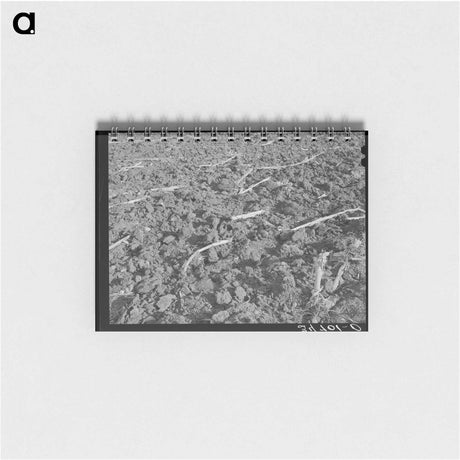 アートメモ帳-Plowed Cornfield, McLennan County
 - ラッセル リー Memo.