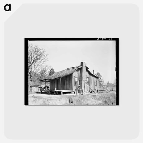 アートポストカード-Mississippi Cabin
 - ラッセル リー Postcard.