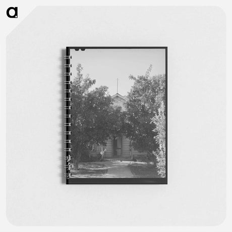 アートメモ帳-Orange Trees in Placer County
 - ラッセル リー Memo.