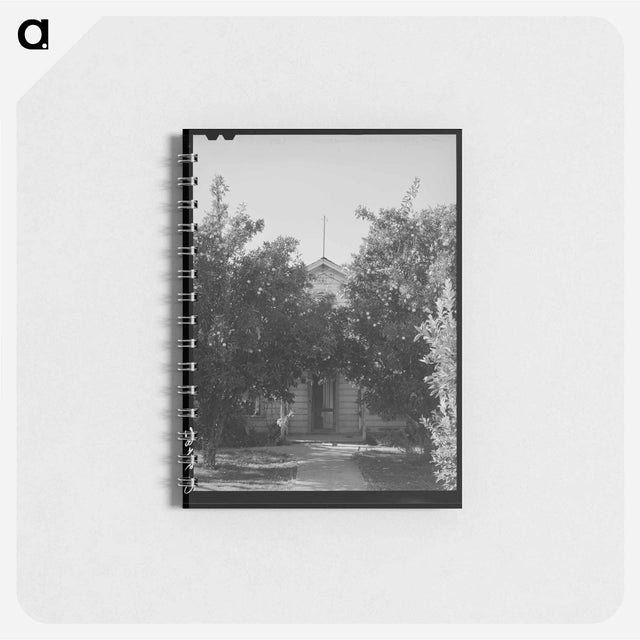 アートメモ帳-Orange Trees in Placer County
 - ラッセル リー Memo.