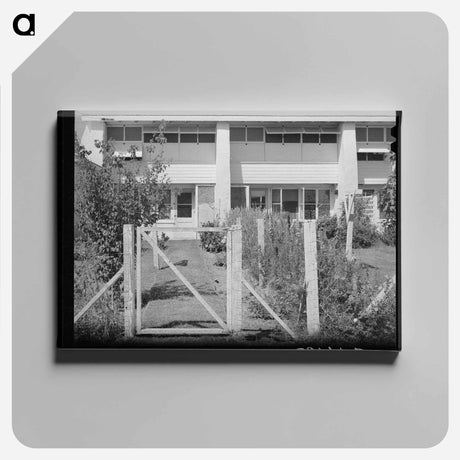 アートパネル-Arizona Backyard
 - ラッセル リー Canvas.