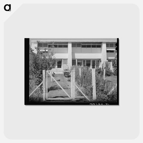 アートポストカード-Arizona Backyard
 - ラッセル リー Postcard.