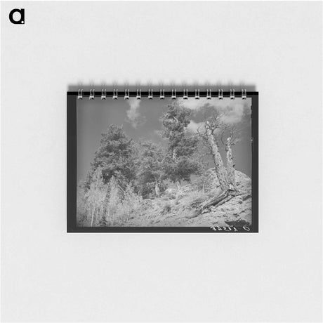 アートメモ帳-Telluride Timberline
 - ラッセル リー Memo.