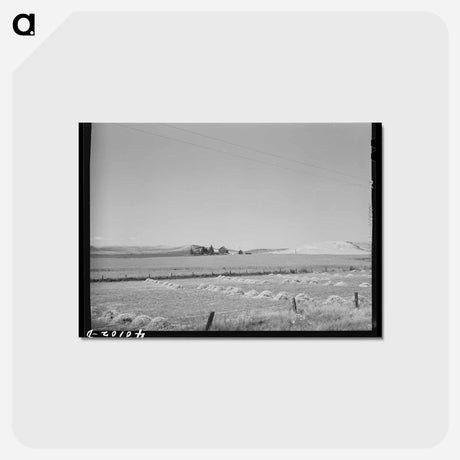 アートポストカード-Barley in the Shock
 - ラッセル リー Postcard.