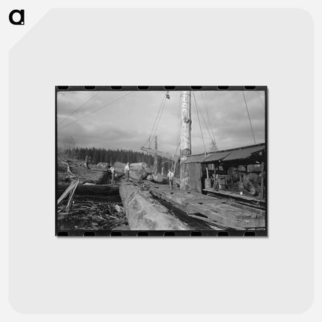 アートポストカード-Loading Logs on Flatcars
 - ラッセル リー Postcard.