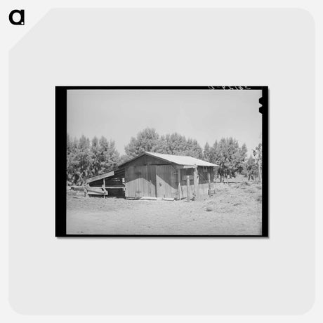 アートポストカード-Barn on Tenant Farm
 - ラッセル リー Postcard.
