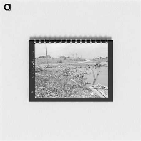 アートメモ帳-Winton Wood Shavings
 - ラッセル リー Memo.