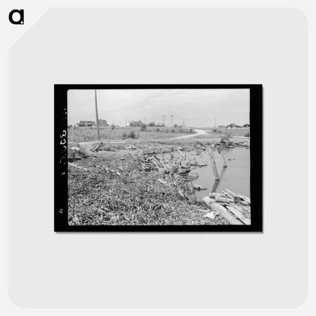 アートポストカード-Winton Wood Shavings
 - ラッセル リー Postcard.