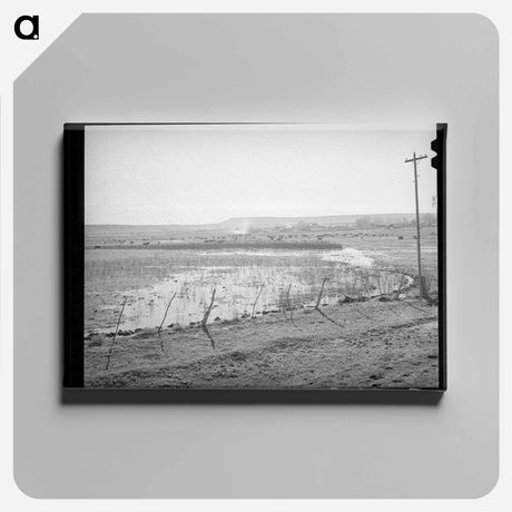 アートパネル-Flood Irrigation on the Little Colorado
 - ラッセル リー Canvas.