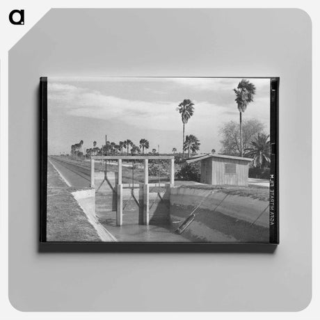 アートパネル-Irrigation Canal and Irrigated Citrus Grove
 - ラッセル リー Canvas.