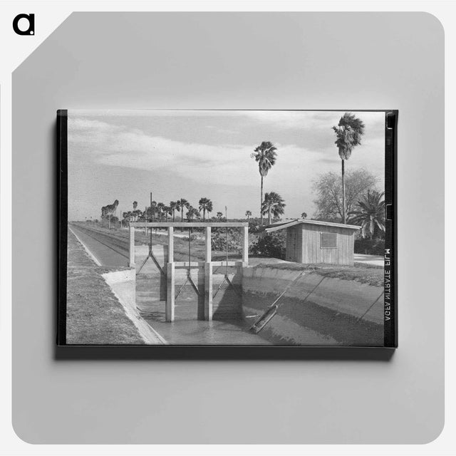 アートパネル-Irrigation Canal and Irrigated Citrus Grove
 - ラッセル リー Canvas.