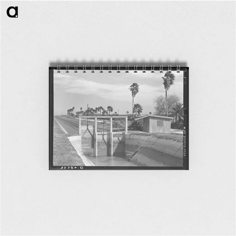 アートメモ帳-Irrigation Canal and Irrigated Citrus Grove
 - ラッセル リー Memo.