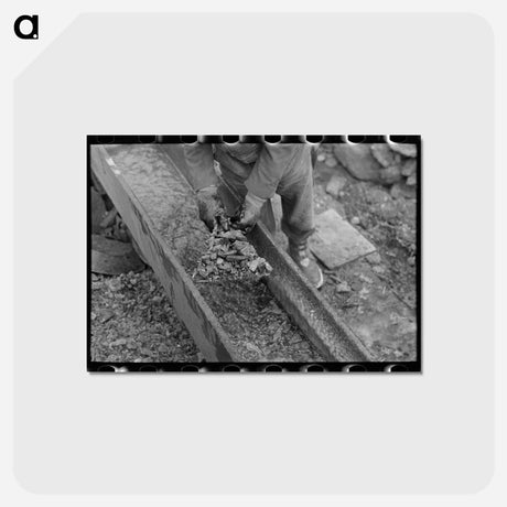 アートポストカード-Gold Miner at Two Bit Creek
 - ラッセル リー Postcard.