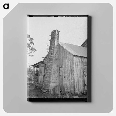 アートパネル-Louisiana Homestead
 - ラッセル リー Canvas.