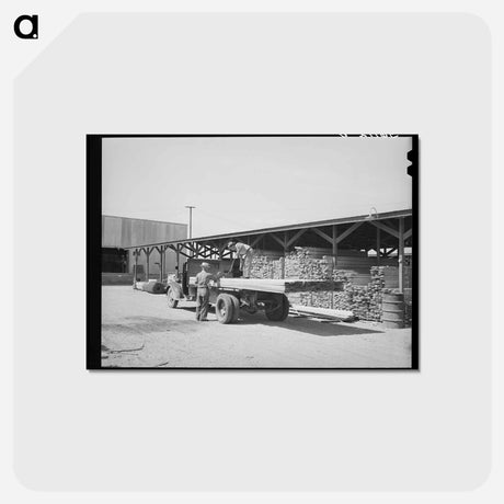 アートポストカード-Loading Lumber in Phoenix
 - ラッセル リー Postcard.