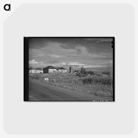 アートポストカード-View of Concho, Arizona
 - ラッセル リー Postcard.