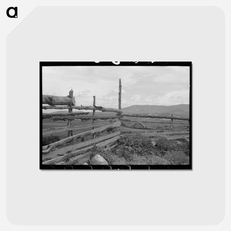 アートポストカード-Chamisal Fence
 - ラッセル リー Postcard.