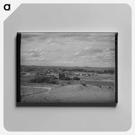 アートパネル-Concho, Arizona Inhabitants
 - ラッセル リー Canvas.