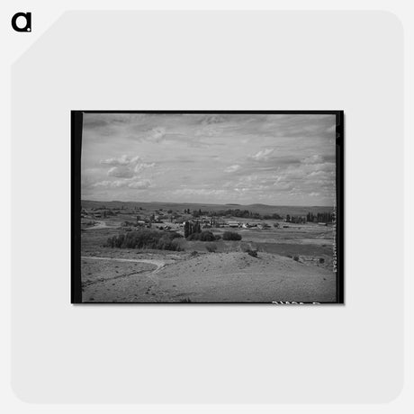 アートポストカード-Concho, Arizona Inhabitants
 - ラッセル リー Postcard.