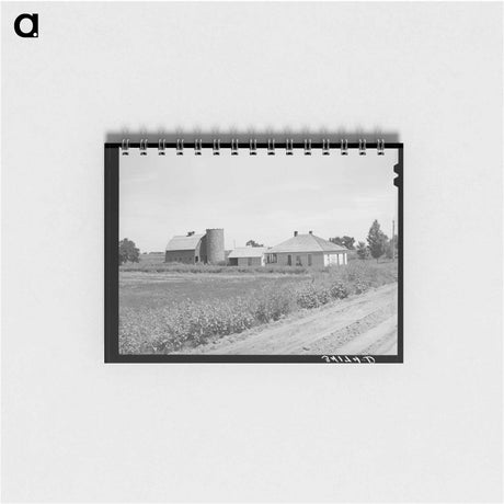 アートメモ帳-Contemplating the Farm
 - ラッセル リー Memo.